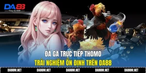 Đá Gà Trực Tiếp Thomo Trải Nghiệm Ổn Định trên DA88