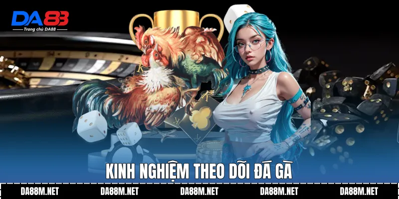 Kinh nghiệm theo dõi đá gà